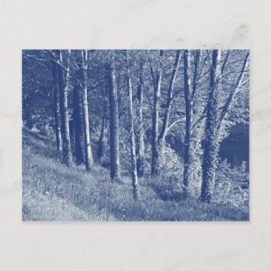 Bomen langs een rivier - Cyanotype-effect Briefkaart
