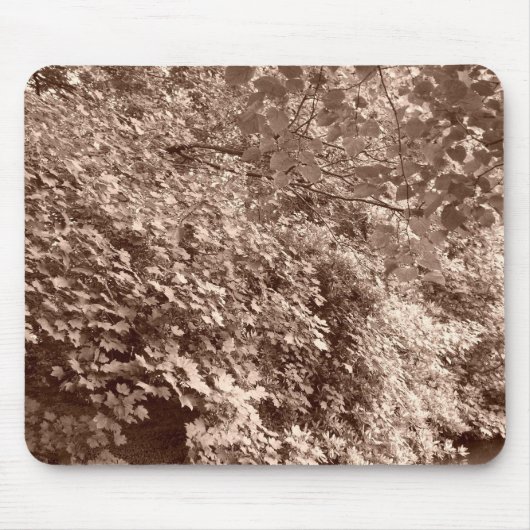 Bomen langs het kanaal muismat (Voorkant)