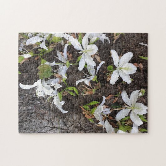 Bomen Legpuzzel (Horizontaal)