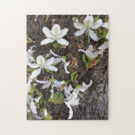 Bomen Legpuzzel