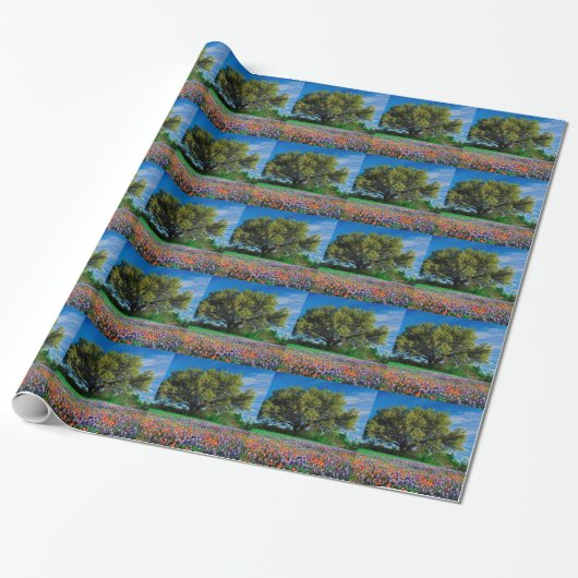 Bomen leven eik onder Texas Bluebonnets Cadeaupapier (Uitgerold)
