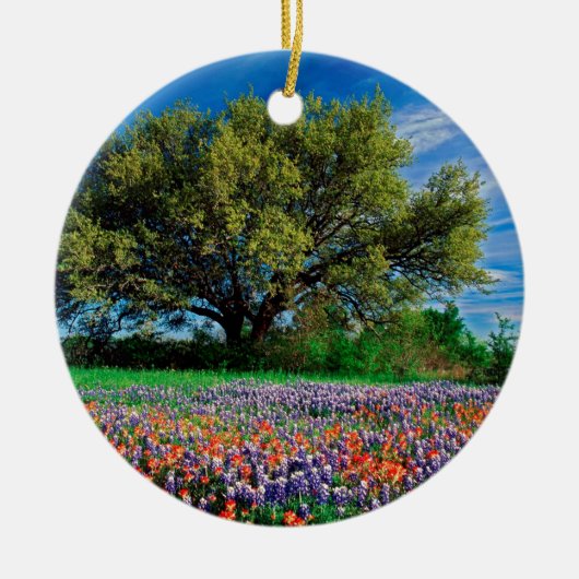 Bomen leven eik onder Texas Bluebonnets Keramisch Ornament (Voorkant)