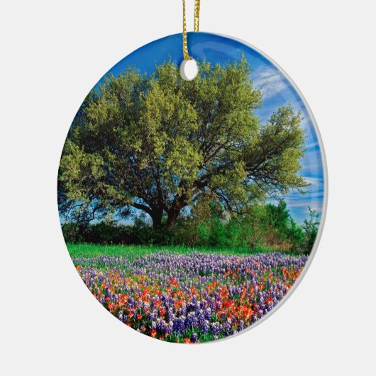 Bomen leven eik onder Texas Bluebonnets Keramisch Ornament (Links)
