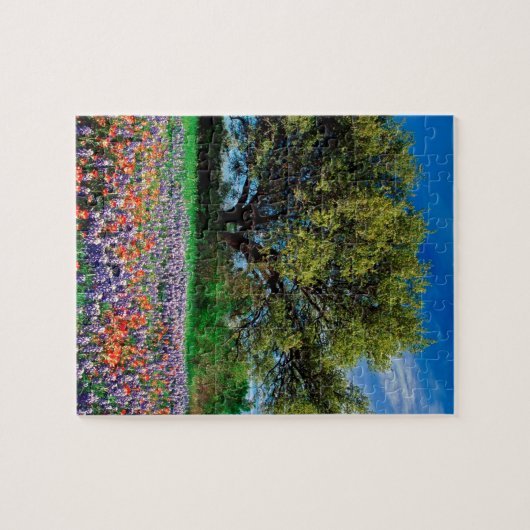 Bomen leven eik onder Texas Bluebonnets Legpuzzel (Horizontaal)