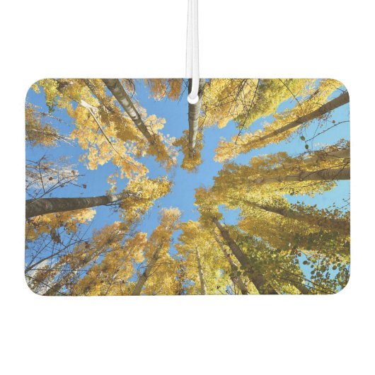 Bomen Luchtverfrisser (Voorkant)