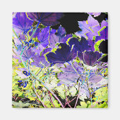 BOMEN MAGNEET (Voorkant)