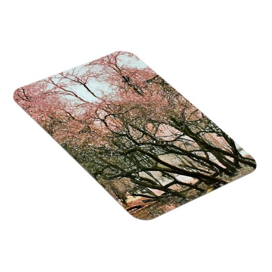 BOMEN MAGNEET (Rechterzijde)