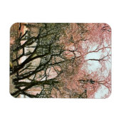 BOMEN MAGNEET (Horizontaal)