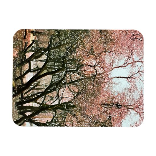 BOMEN MAGNEET (Horizontaal)