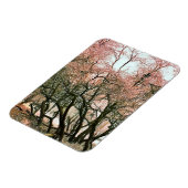 BOMEN MAGNEET (Linkerzijde)