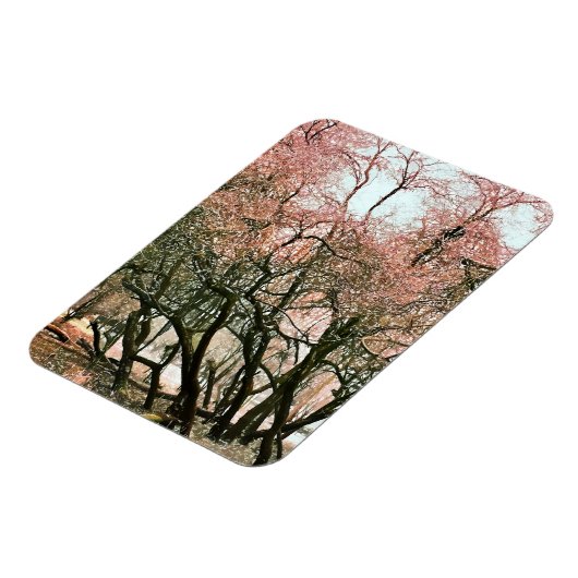 BOMEN MAGNEET (Linkerzijde)