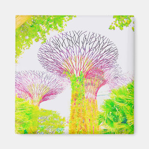 Bomen Magneet