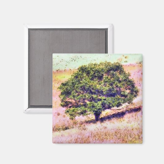 BOMEN MAGNEET (Voorkant / Achterkant)