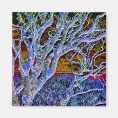 BOMEN MAGNEET (Voorkant)