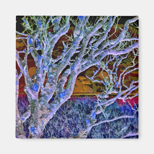 BOMEN MAGNEET (Voorkant)