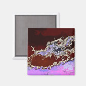 BOMEN MAGNEET (Voorkant / Achterkant)