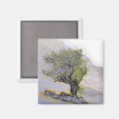 BOMEN MAGNEET (Voorkant / Achterkant)