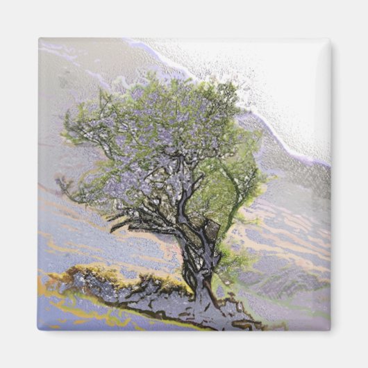 BOMEN MAGNEET (Voorkant)