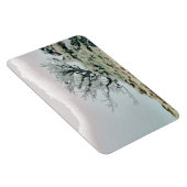 BOMEN MAGNEET (Rechterzijde)