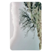 BOMEN MAGNEET (Verticaal)