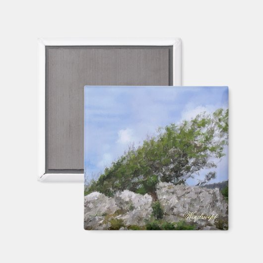 BOMEN MAGNEET (Voorkant / Achterkant)