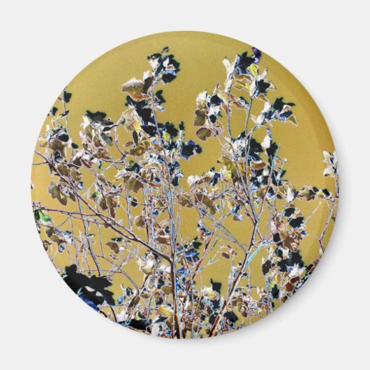 BOMEN MAGNEET (Voorkant)