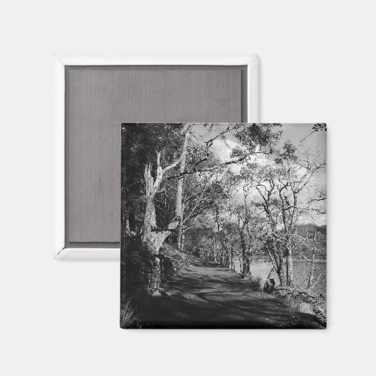 BOMEN MAGNEET (Voorkant / Achterkant)