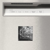 BOMEN MAGNEET (Insitu (Vaatwasser))