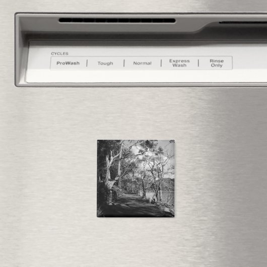 BOMEN MAGNEET (Insitu (Vaatwasser))