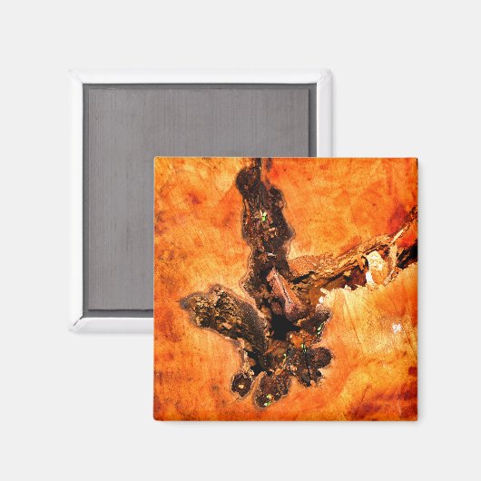 BOMEN MAGNEET (Voorkant / Achterkant)