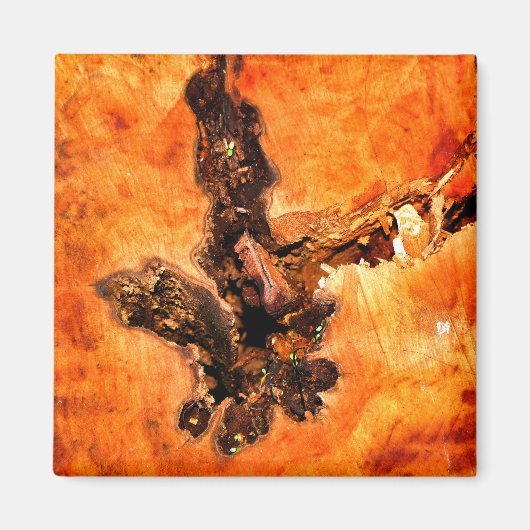 BOMEN MAGNEET (Voorkant)