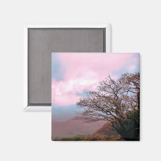 BOMEN MAGNEET (Voorkant / Achterkant)