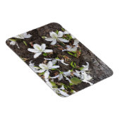 Bomen Magneet (Rechterzijde)