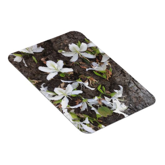 Bomen Magneet (Rechterzijde)