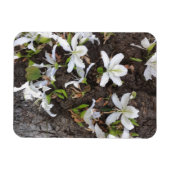 Bomen Magneet (Horizontaal)