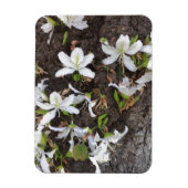 Bomen Magneet (Verticaal)