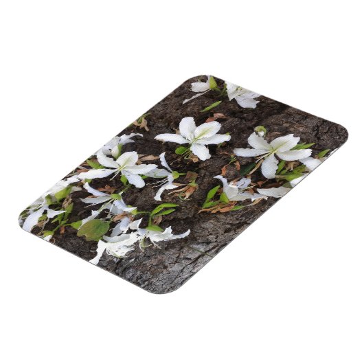 Bomen Magneet (Linkerzijde)