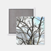 BOMEN MAGNEET (Voorkant / Achterkant)