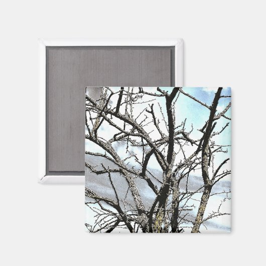 BOMEN MAGNEET (Voorkant / Achterkant)