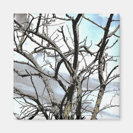 BOMEN MAGNEET (Voorkant)