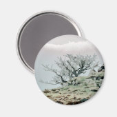 BOMEN MAGNEET (Voorkant / Achterkant)