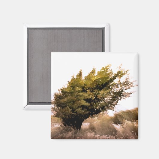 BOMEN MAGNEET (Voorkant / Achterkant)