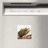 BOMEN MAGNEET (Insitu (Vaatwasser))