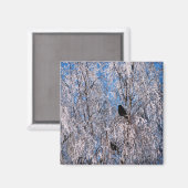 BOMEN MAGNEET (Voorkant / Achterkant)