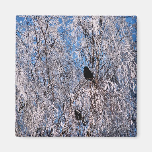 BOMEN MAGNEET (Voorkant)