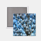 BOMEN MAGNEET (Voorkant / Achterkant)