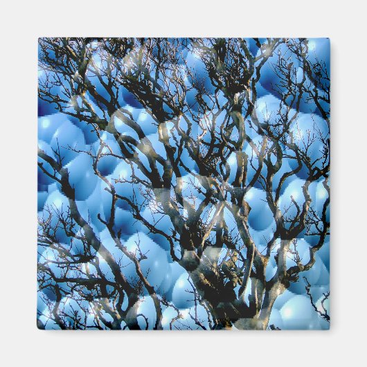 BOMEN MAGNEET (Voorkant)