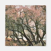 BOMEN MAGNEET (Voorkant)