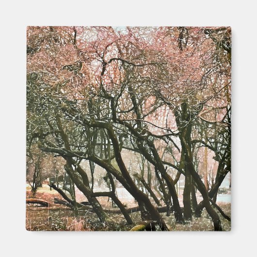 BOMEN MAGNEET (Voorkant)