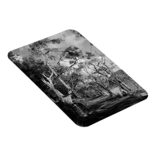 BOMEN MAGNEET (Rechterzijde)